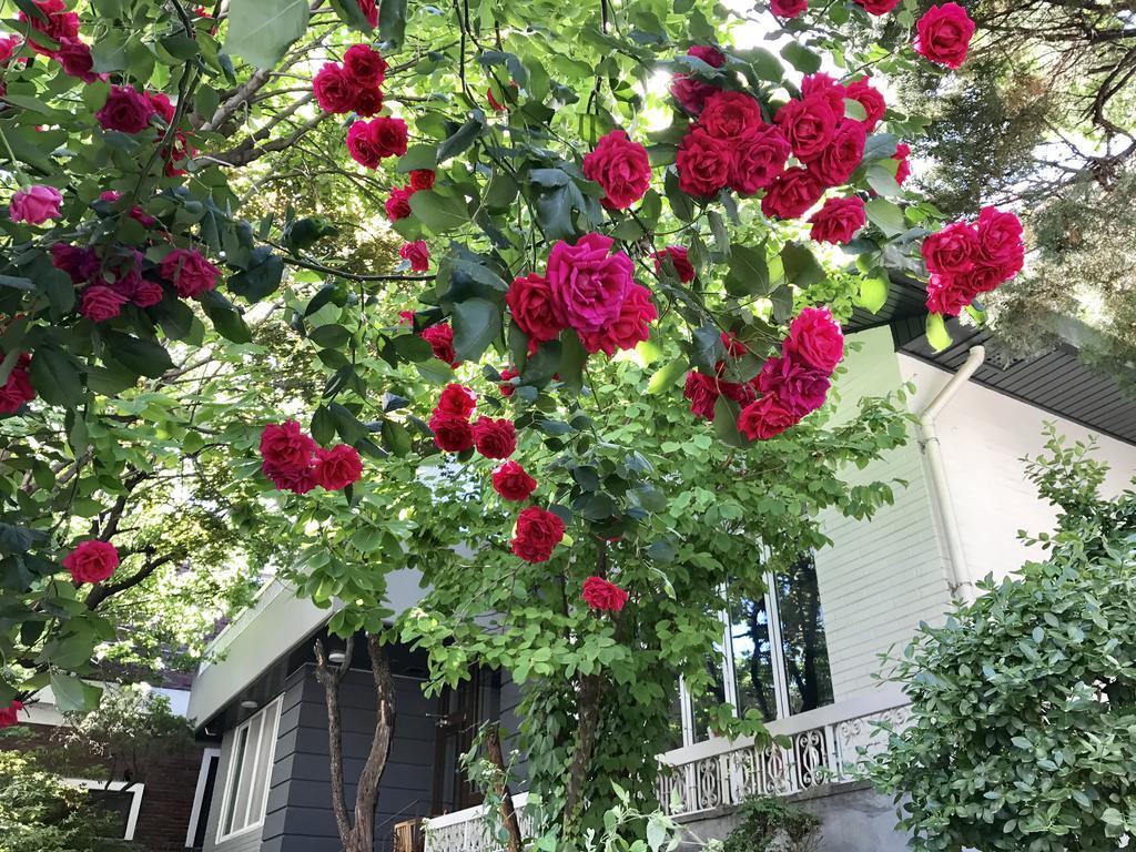 Naru Guesthouse Сеул Екстериор снимка