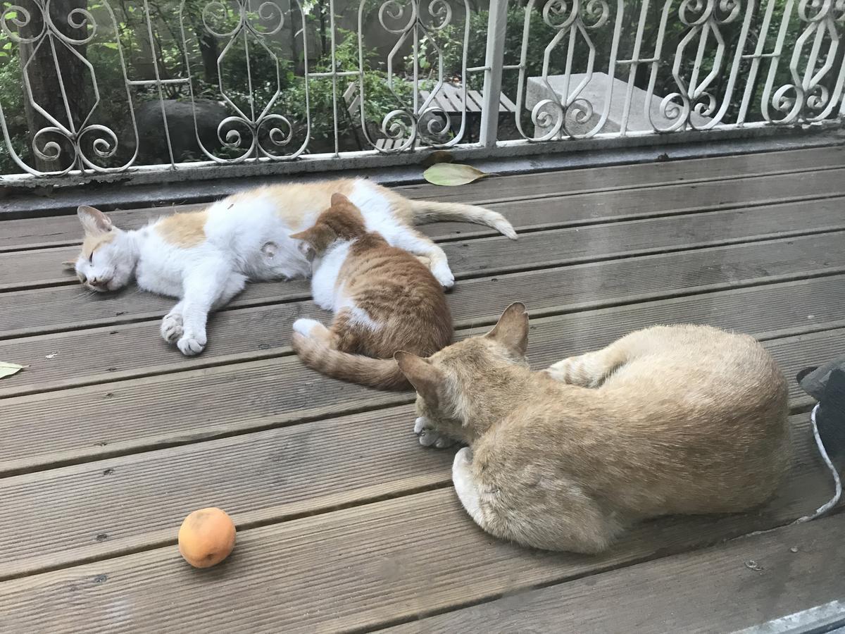 Naru Guesthouse Сеул Екстериор снимка
