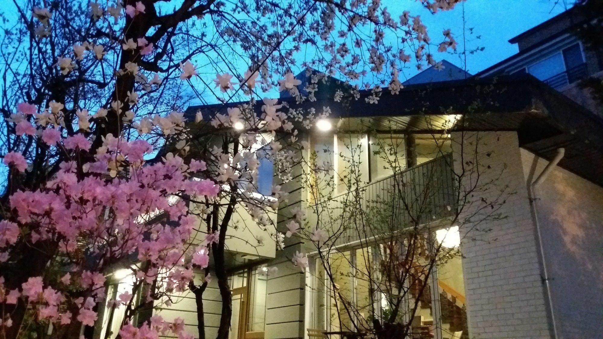 Naru Guesthouse Сеул Екстериор снимка
